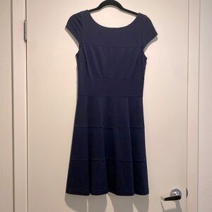 Banana Republic Navy Dress